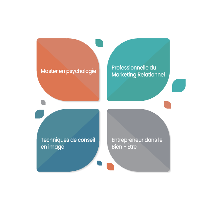 Quatre sections colorées présentant des domaines : psychologie, human design, conseil, bien-être.
